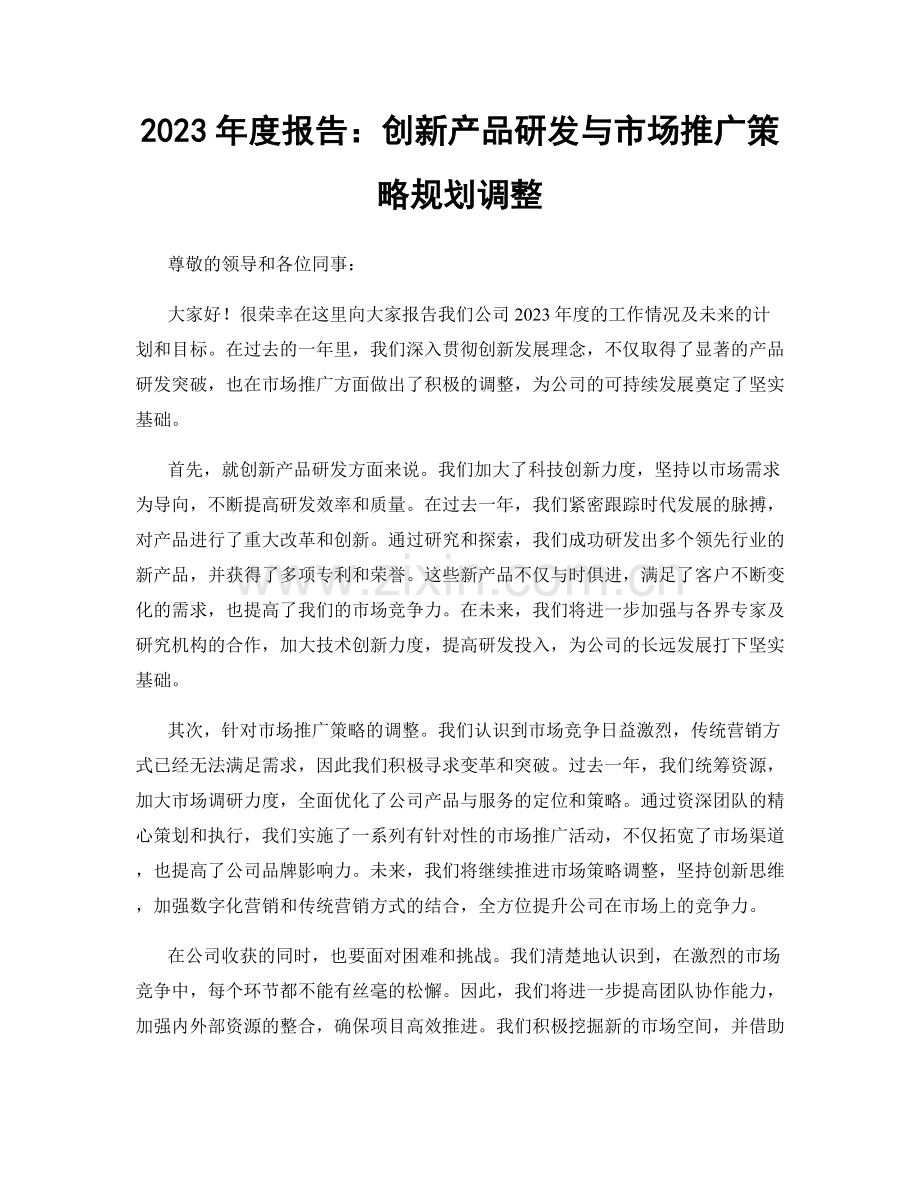 2023年度报告：创新产品研发与市场推广策略规划调整.docx_第1页