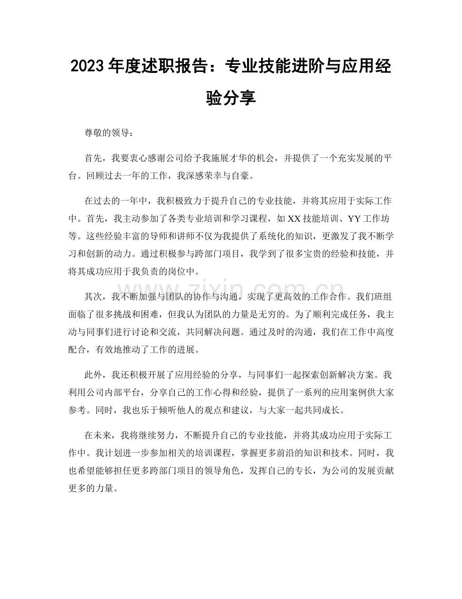 2023年度述职报告：专业技能进阶与应用经验分享.docx_第1页