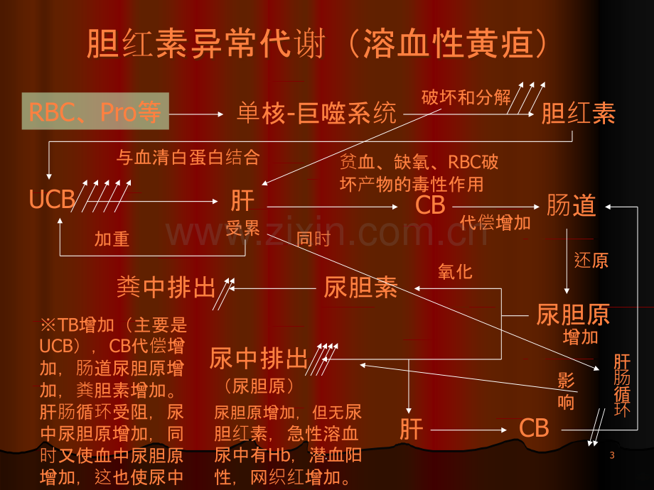 基础肝肠循环.ppt_第3页