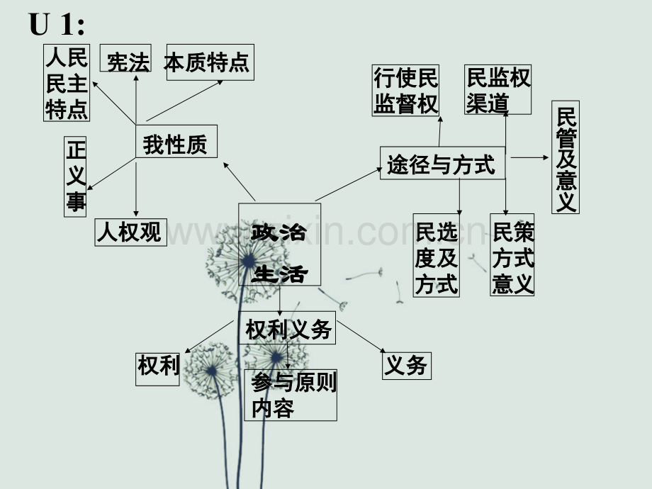 政治生活知识框架图.ppt_第1页