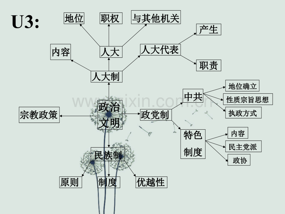 政治生活知识框架图.ppt_第3页