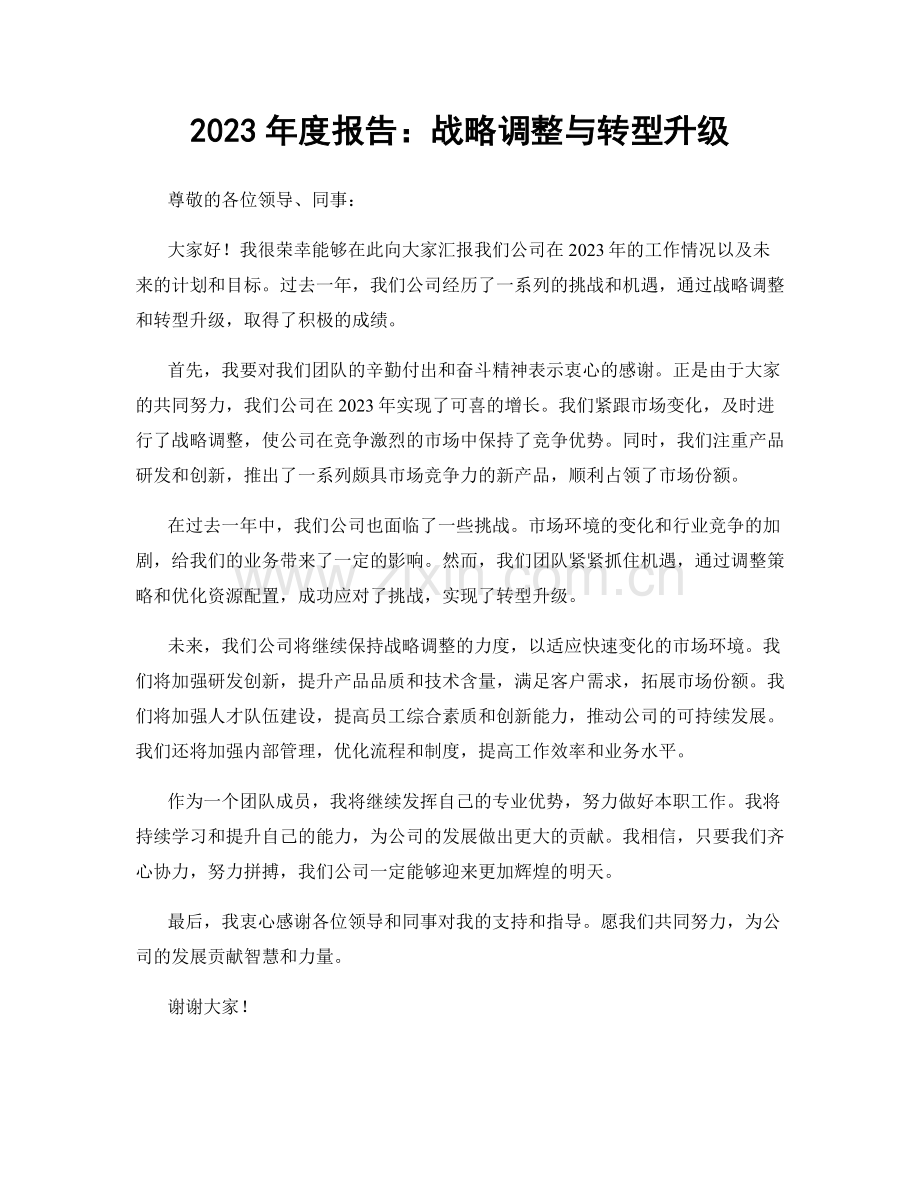 2023年度报告：战略调整与转型升级.docx_第1页