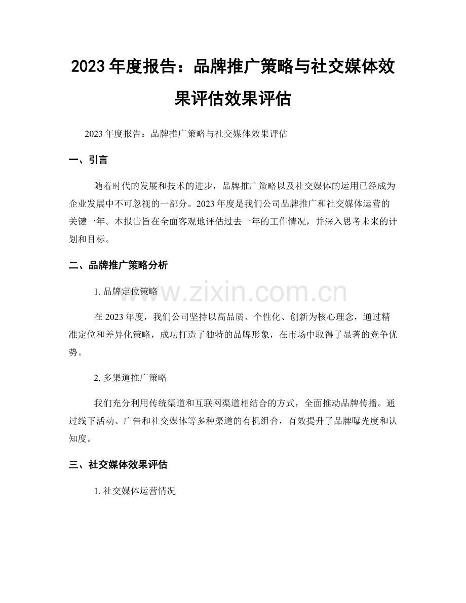 2023年度报告：品牌推广策略与社交媒体效果评估效果评估.docx_第1页