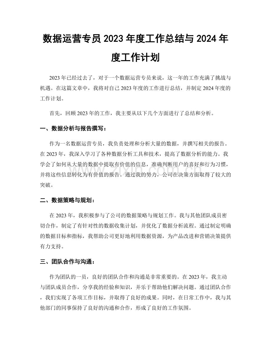 数据运营专员2023年度工作总结与2024年度工作计划.docx_第1页