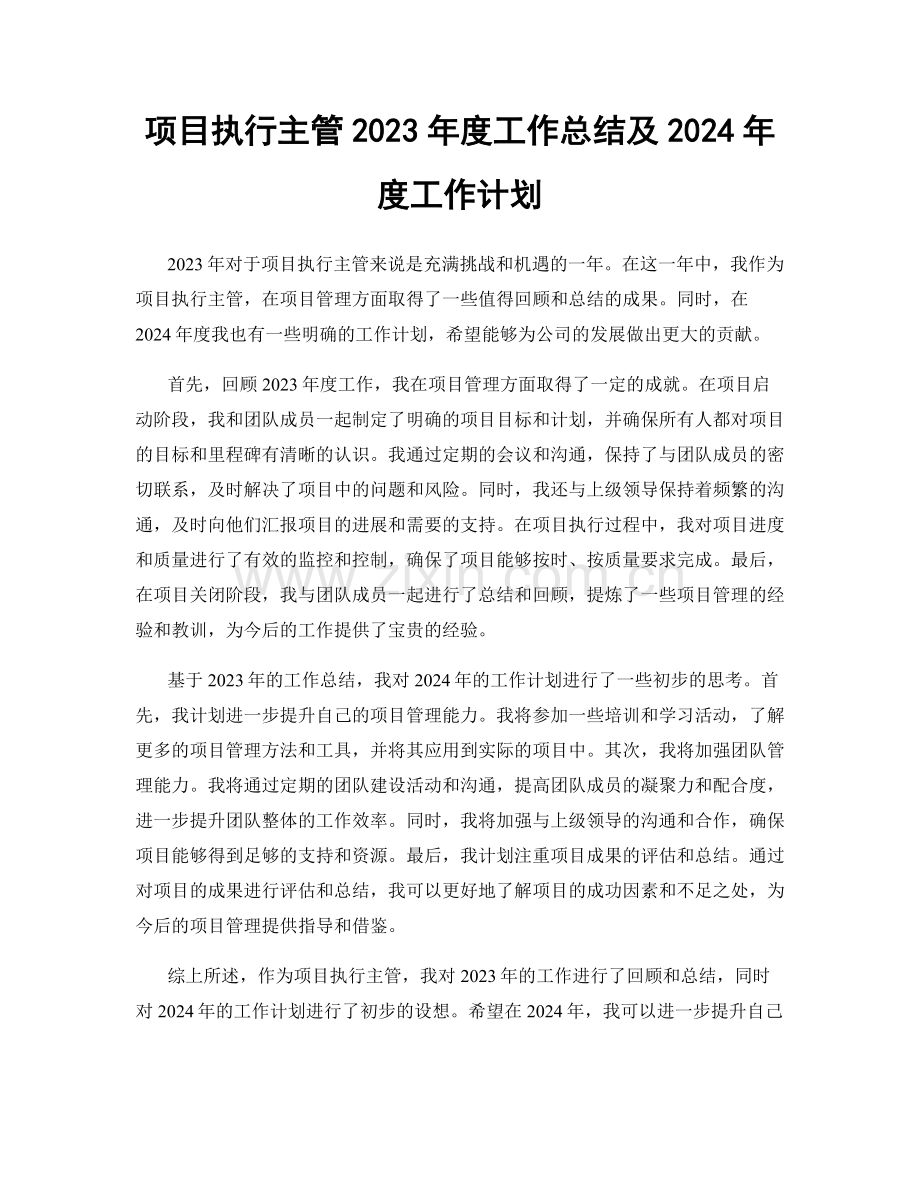 项目执行主管2023年度工作总结及2024年度工作计划.docx_第1页