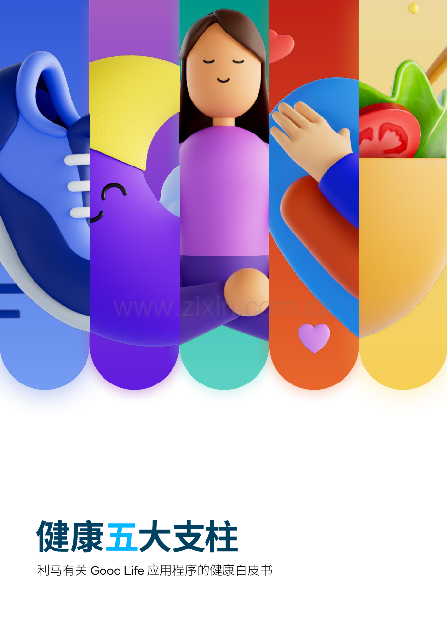 2023健康白皮书：健康五大支柱.pdf_第1页