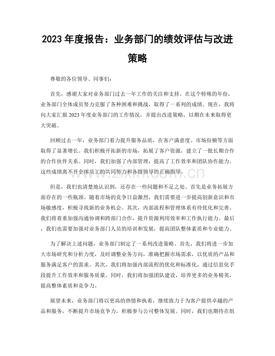 2023年度报告：业务部门的绩效评估与改进策略.docx_第1页