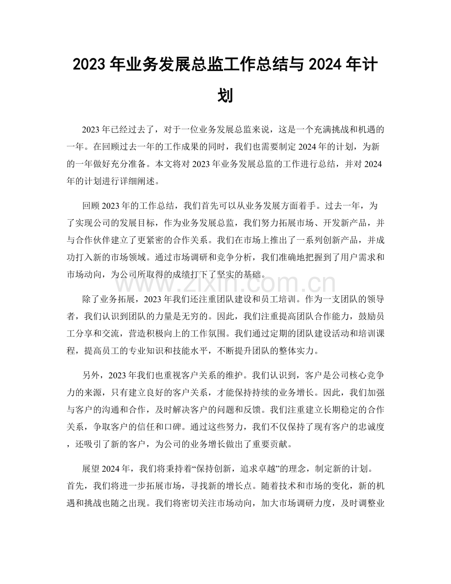 2023年业务发展总监工作总结与2024年计划.docx_第1页