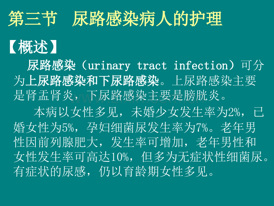 尿路感染的护理ppt课件.ppt_第2页