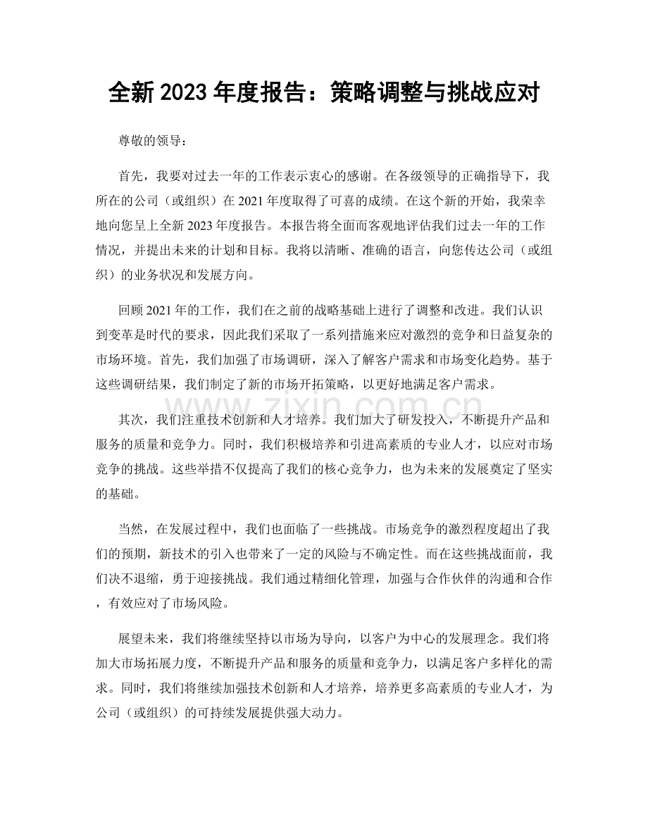 全新2023年度报告：策略调整与挑战应对.docx_第1页