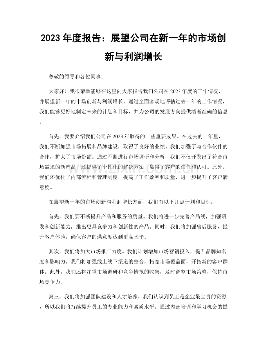 2023年度报告：展望公司在新一年的市场创新与利润增长.docx_第1页