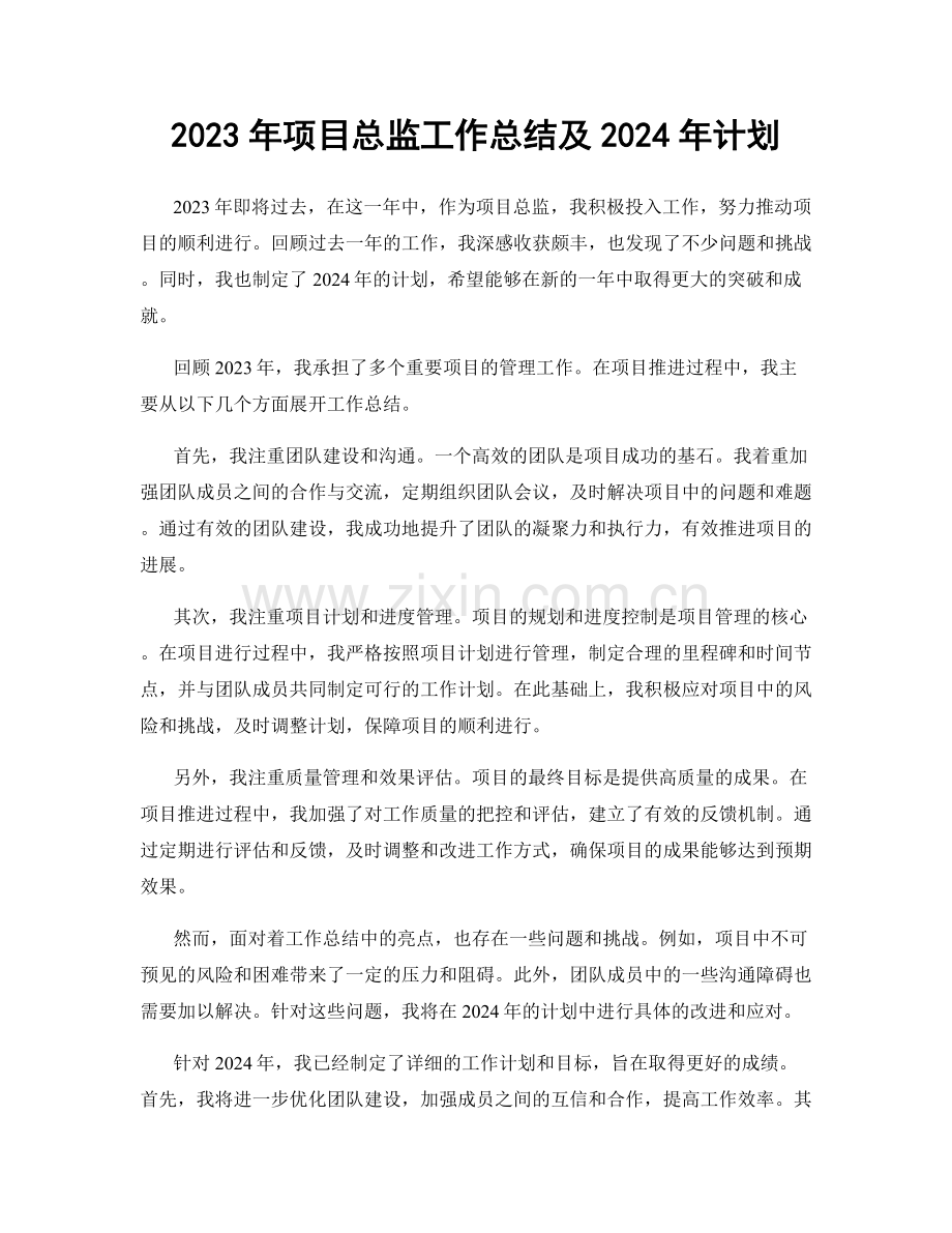 2023年项目总监工作总结及2024年计划.docx_第1页