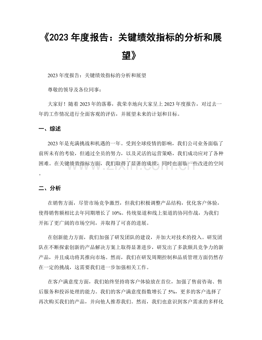 《2023年度报告：关键绩效指标的分析和展望》.docx_第1页