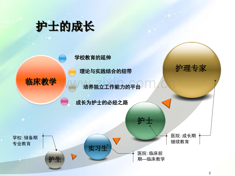 护理临床带教.ppt_第2页