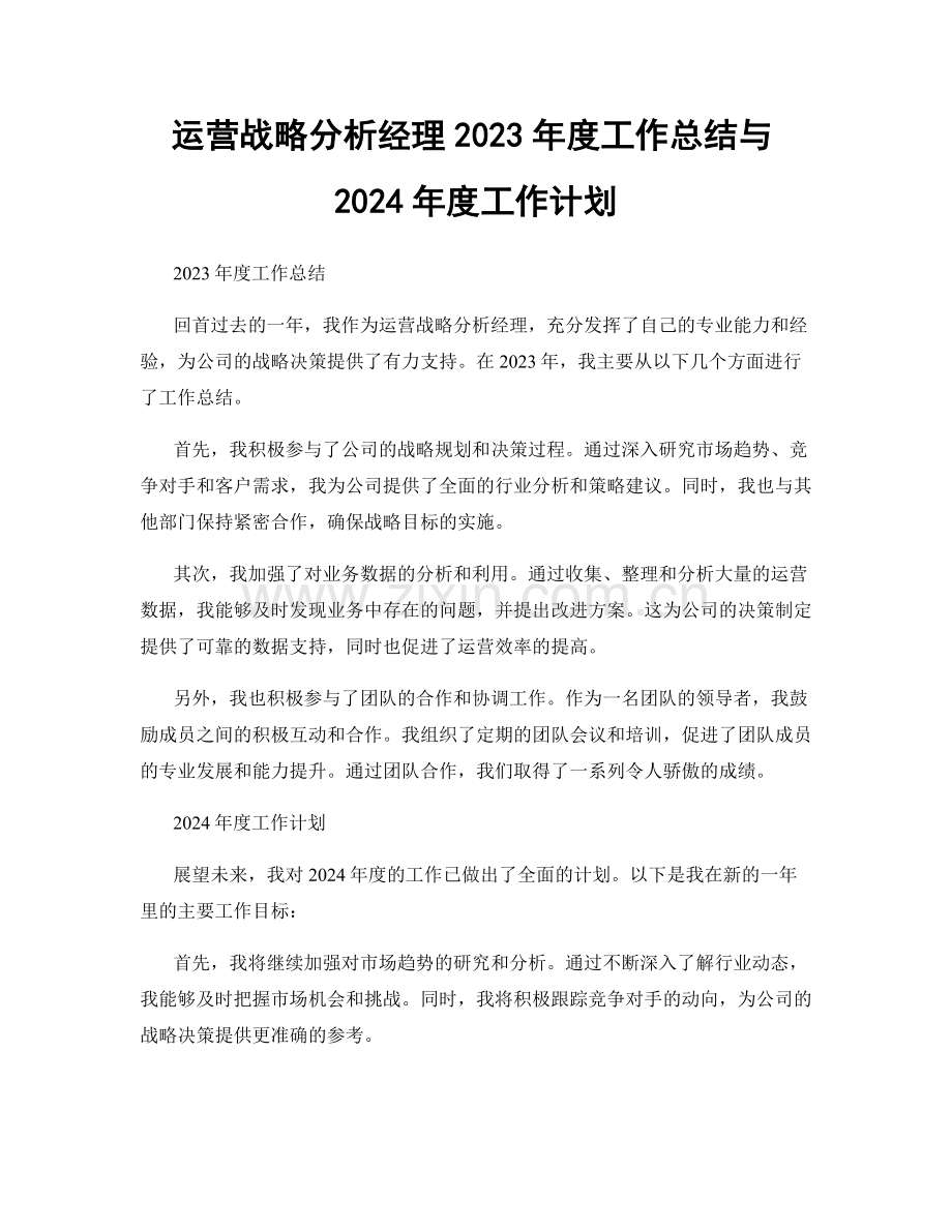 运营战略分析经理2023年度工作总结与2024年度工作计划.docx_第1页