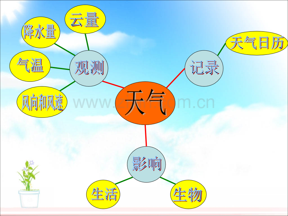 教科版小学科学四年级上册第一单元.ppt_第2页