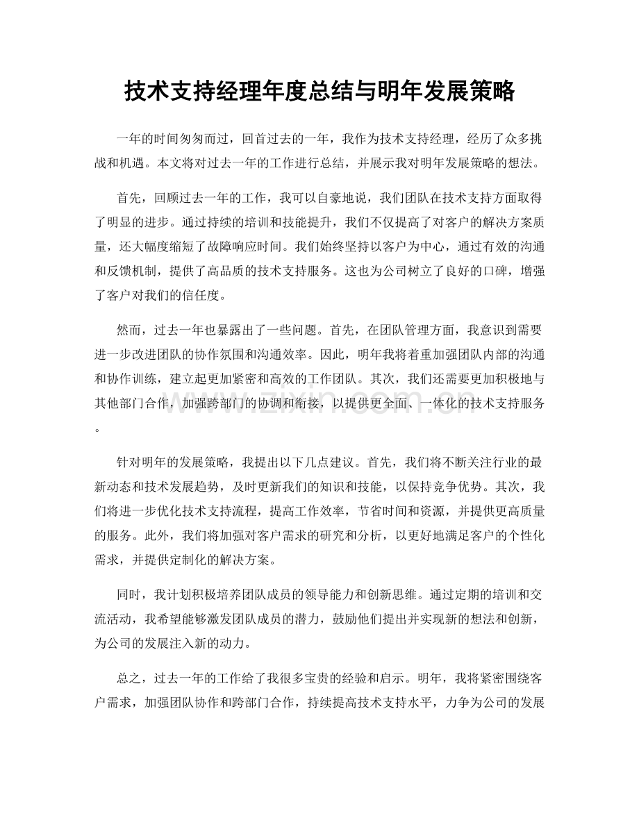 技术支持经理年度总结与明年发展策略.docx_第1页