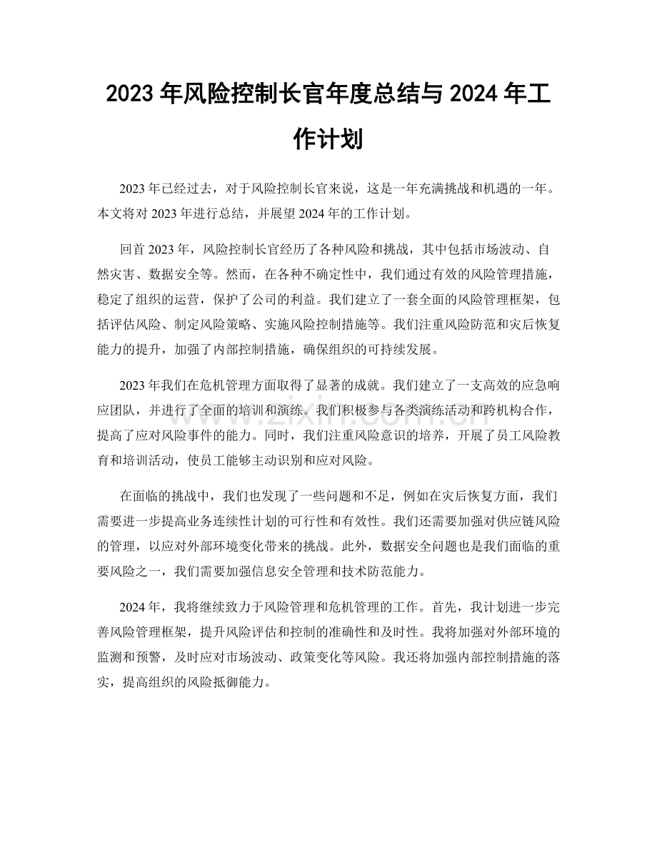 2023年风险控制长官年度总结与2024年工作计划.docx_第1页