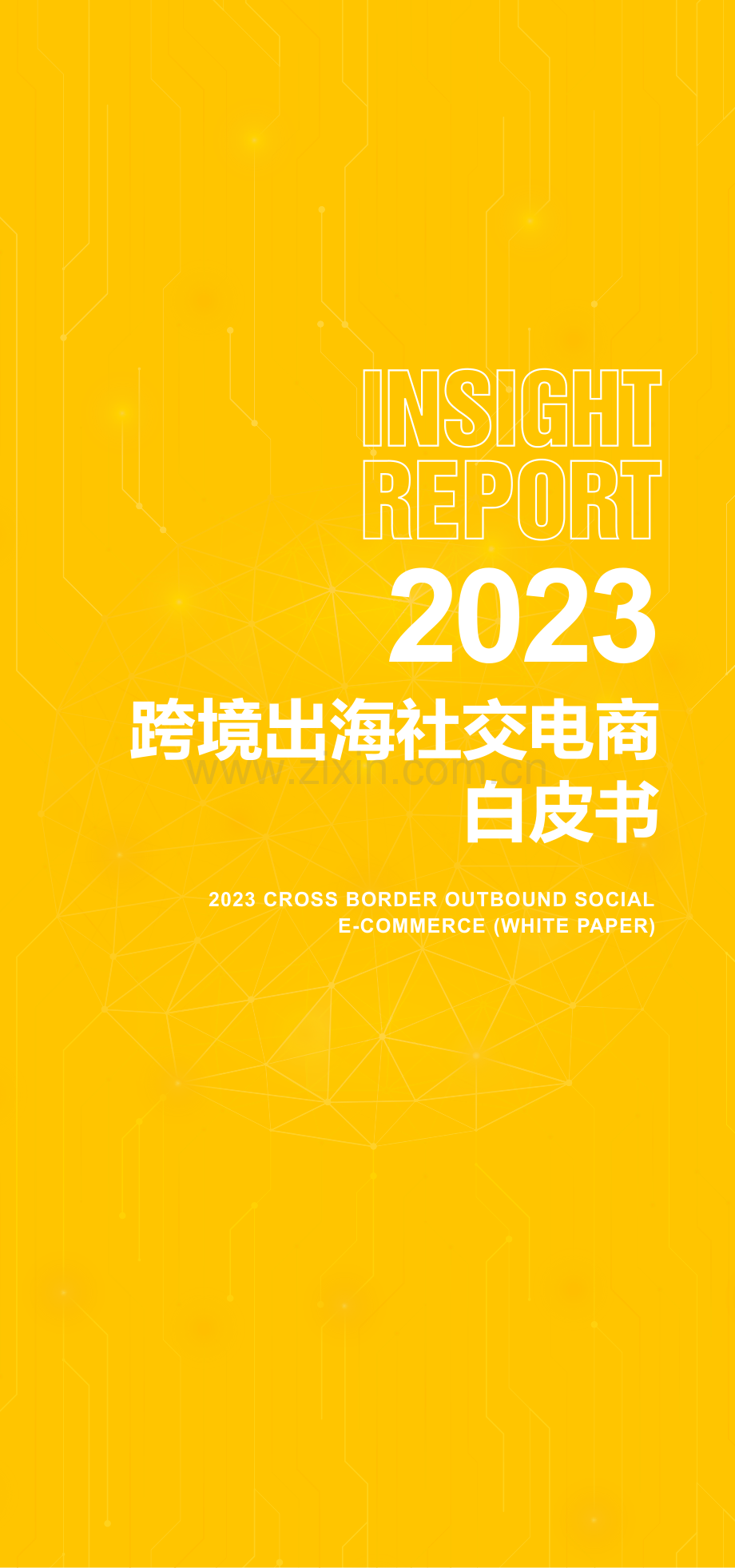 2023年跨境出海社交电商白皮书.pdf_第1页