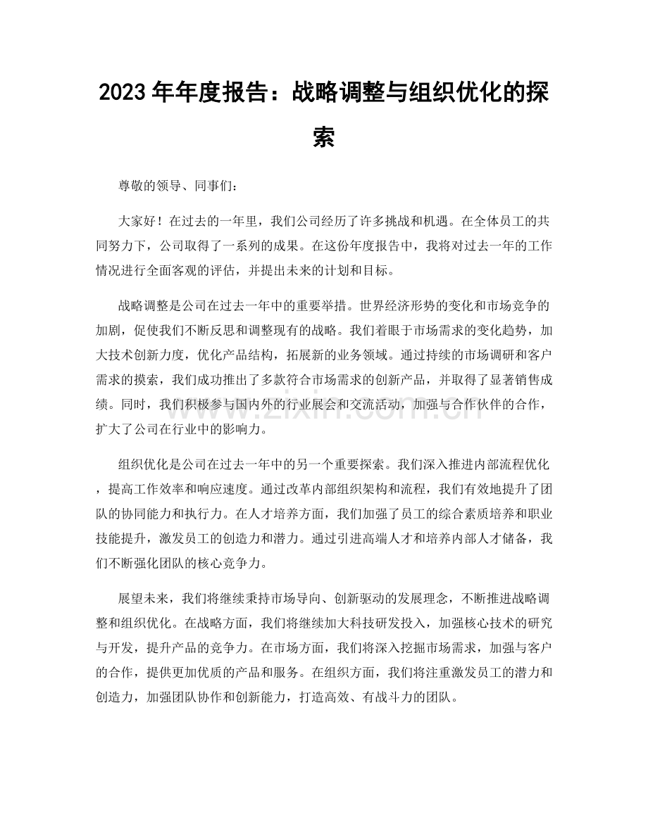 2023年年度报告：战略调整与组织优化的探索.docx_第1页