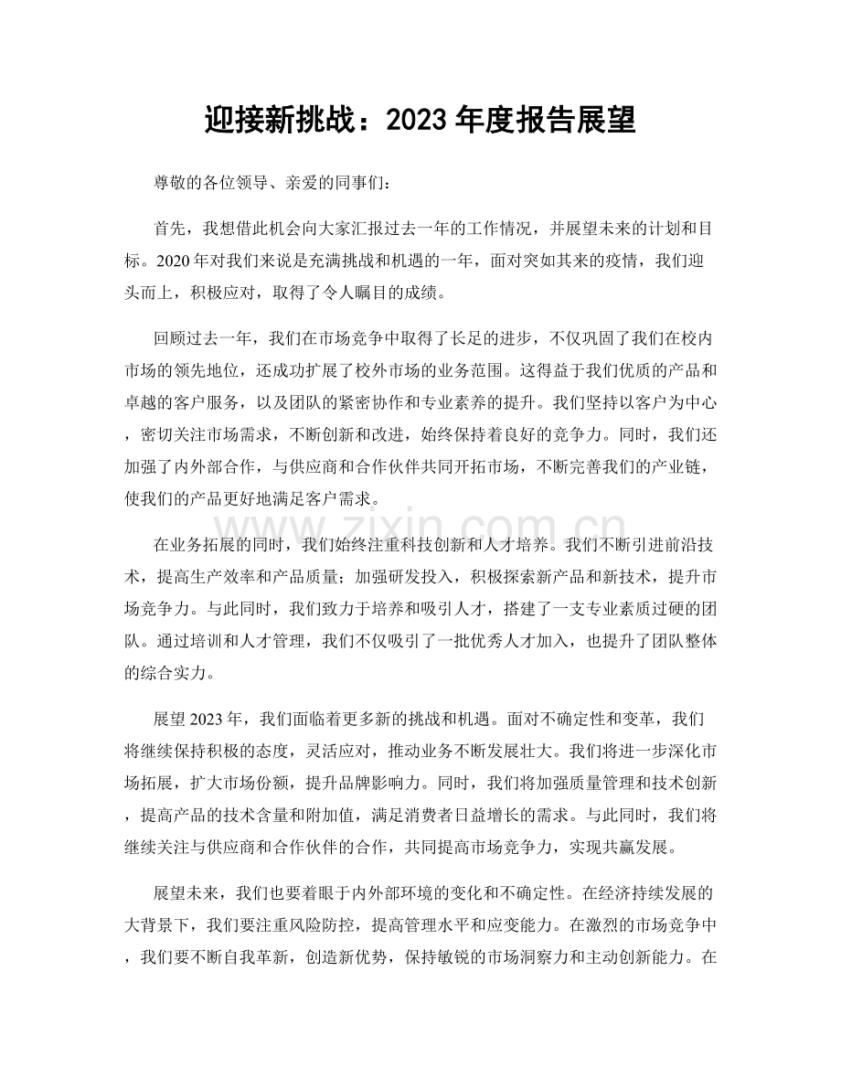 迎接新挑战：2023年度报告展望.docx_第1页