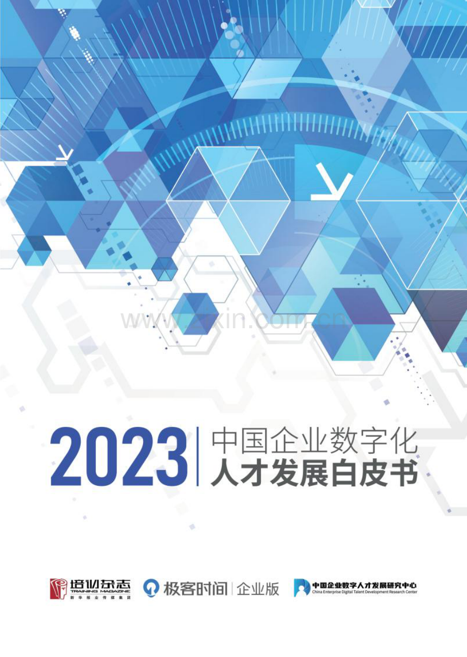 2023中国企业数字化人才发展白皮书.pdf_第1页