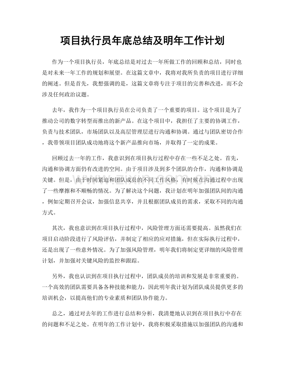 项目执行员年底总结及明年工作计划.docx_第1页