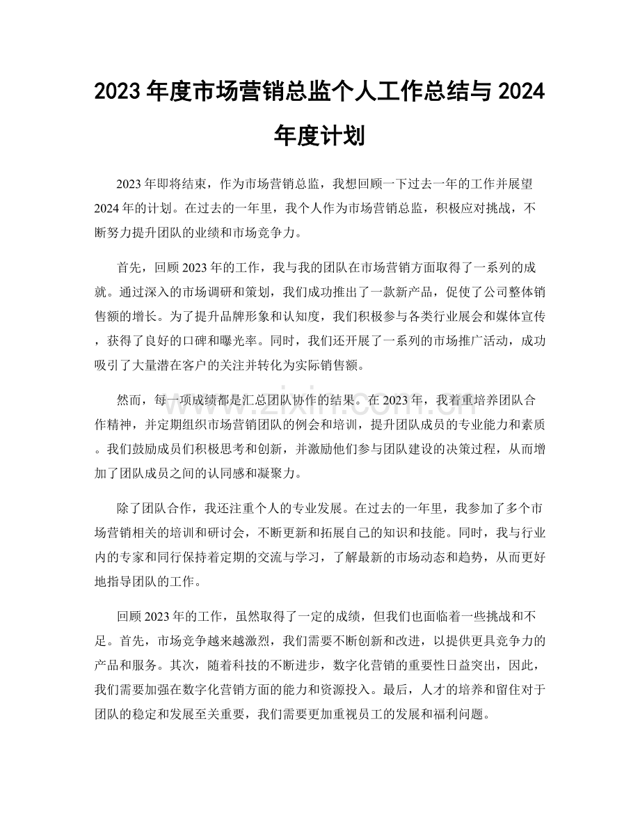 2023年度市场营销总监个人工作总结与2024年度计划.docx_第1页