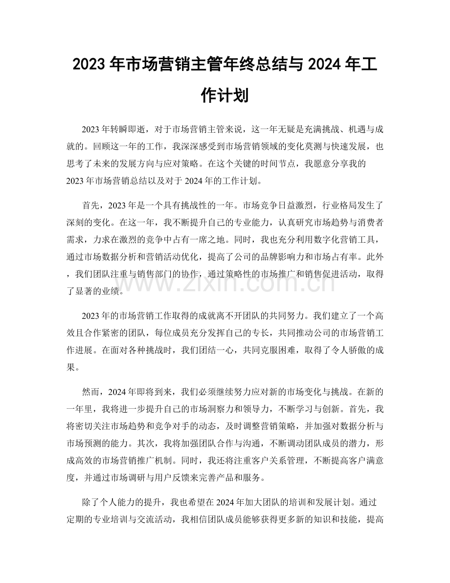 2023年市场营销主管年终总结与2024年工作计划.docx_第1页