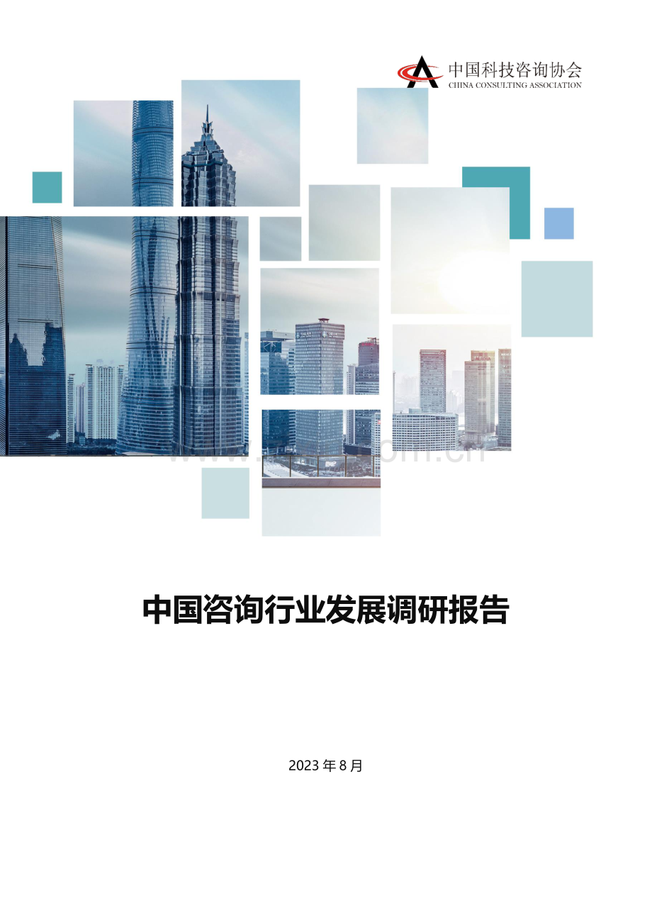 2023年中国咨询行业发展报告.pdf_第1页