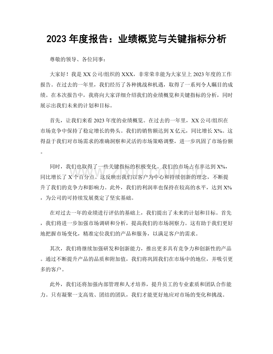 2023年度报告：业绩概览与关键指标分析.docx_第1页