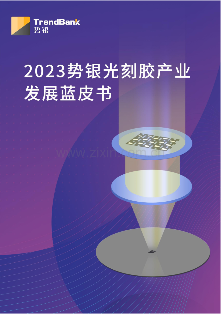 2023势银光刻胶产业发展蓝皮书.pdf_第1页