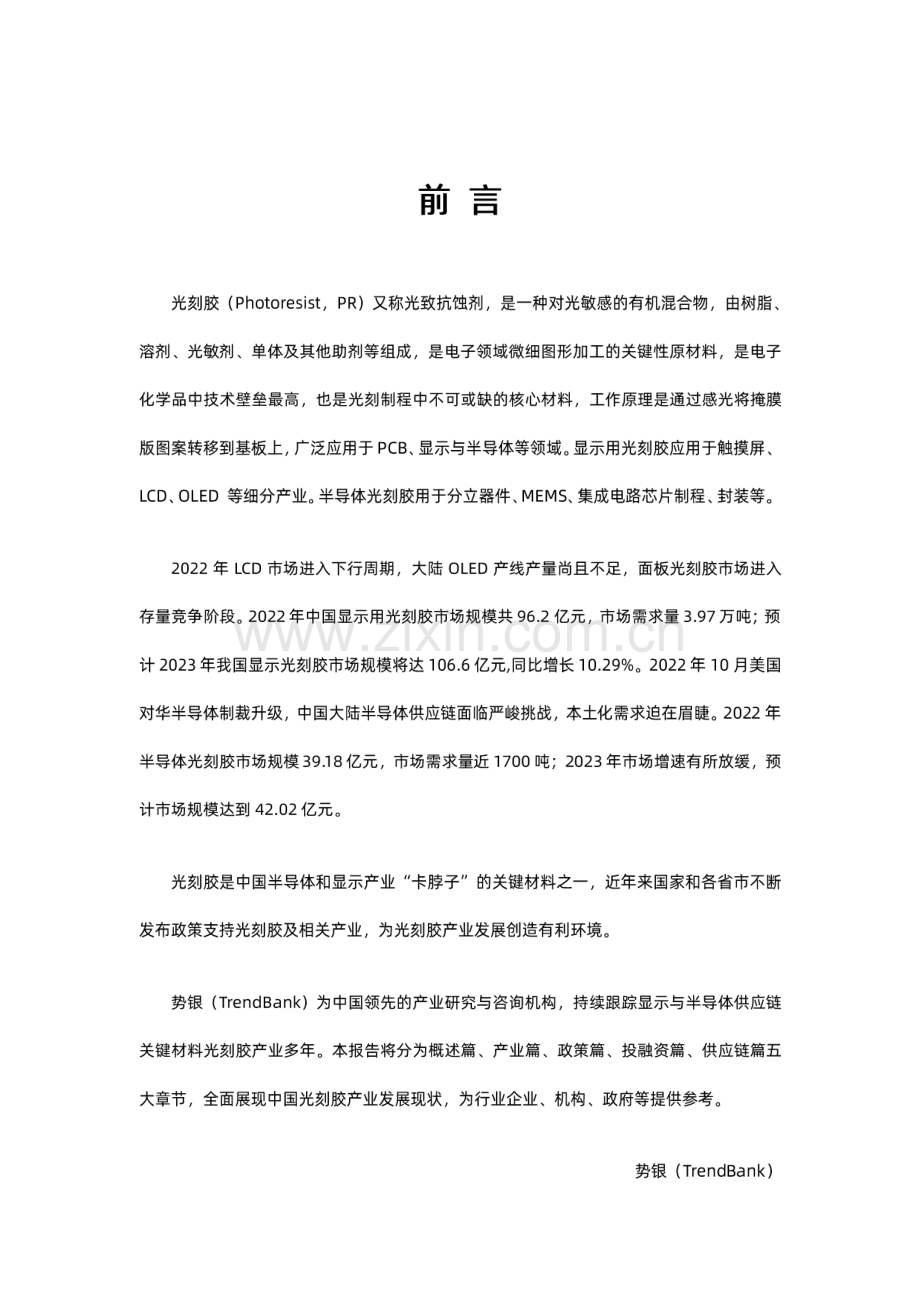 2023势银光刻胶产业发展蓝皮书.pdf_第2页