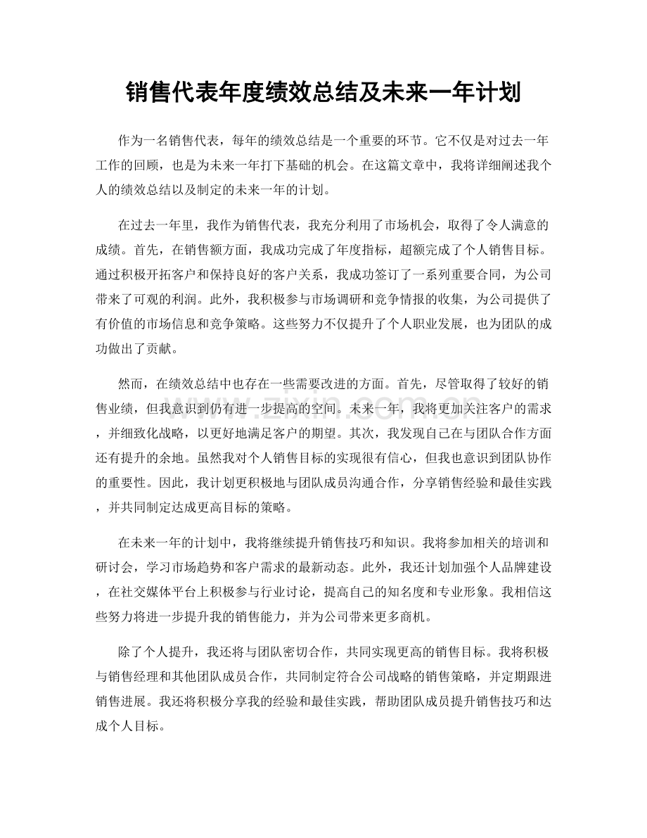 销售代表年度绩效总结及未来一年计划.docx_第1页