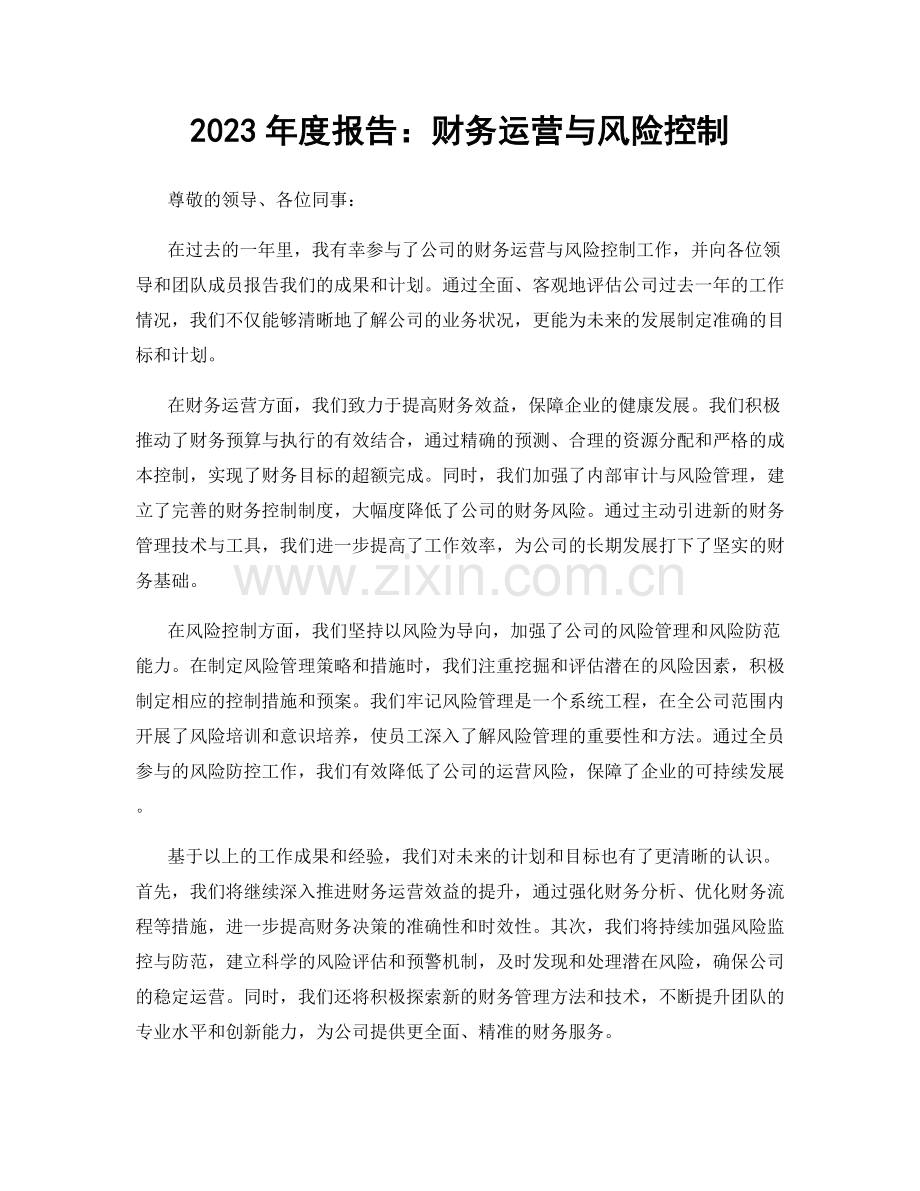 2023年度报告：财务运营与风险控制.docx_第1页