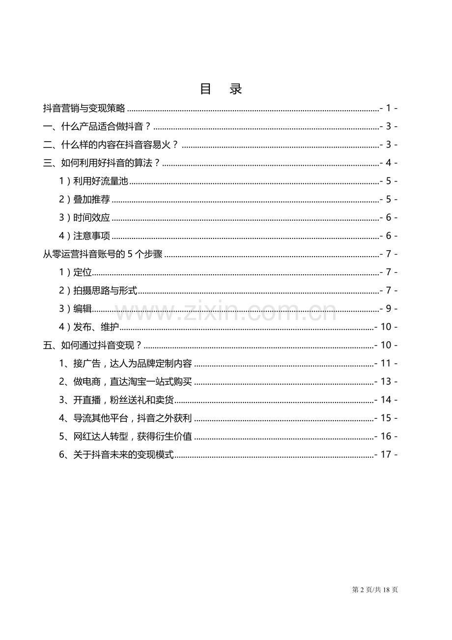 抖音营销与变现策略.docx_第2页