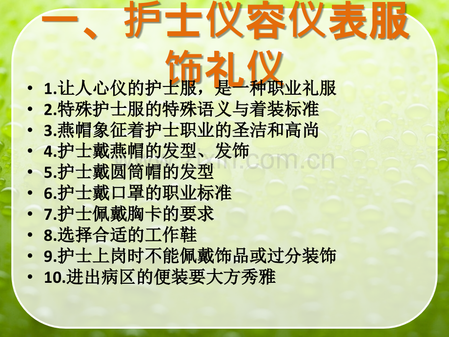 护士职业礼仪ppt课件.ppt_第2页