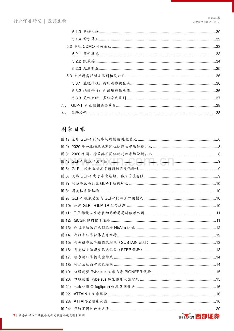 GLP-1药物系列专题报告：降糖减肥GLP-1药物及上游产业链价值分析.pdf_第3页