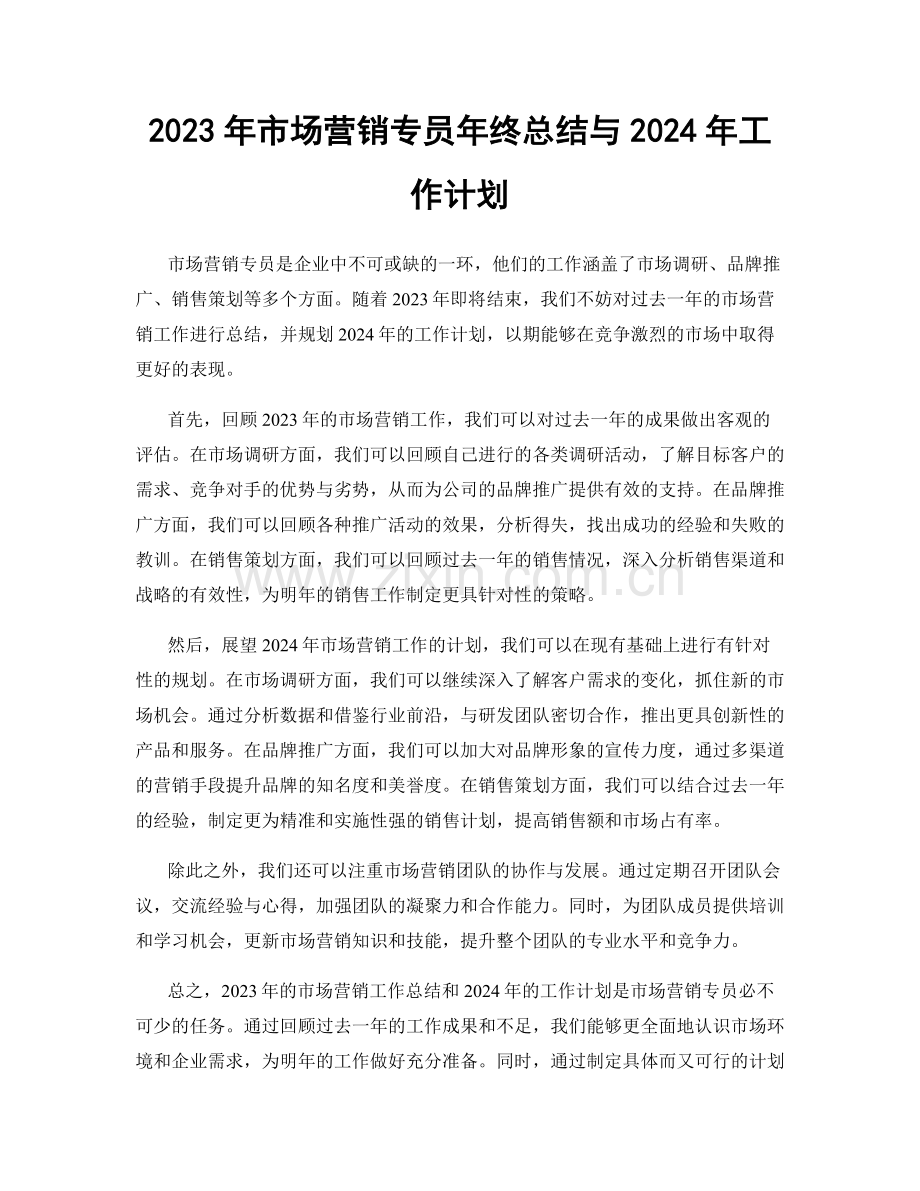 2023年市场营销专员年终总结与2024年工作计划.docx_第1页