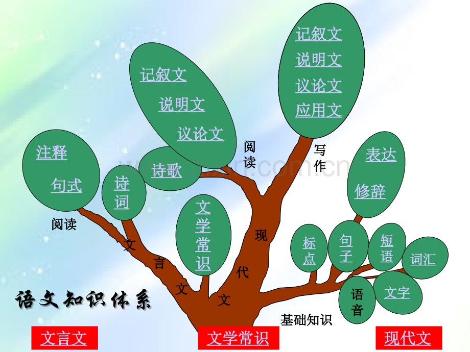 小学语文知识树简图.ppt_第3页