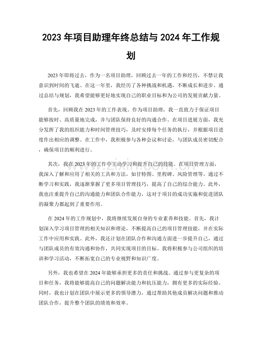 2023年项目助理年终总结与2024年工作规划.docx_第1页