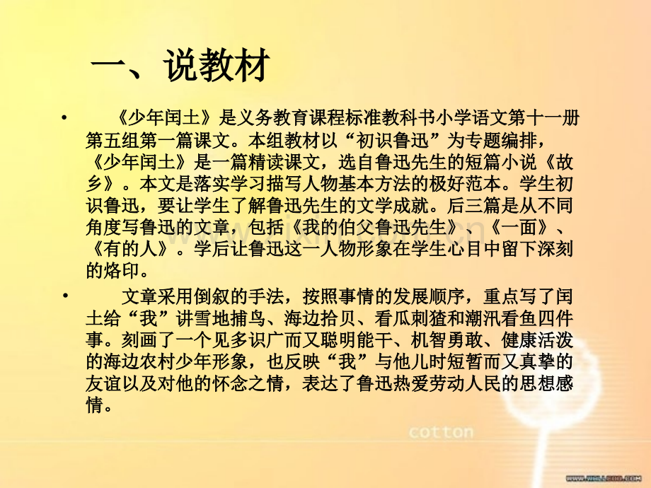 少年闰土说课稿ppt.ppt_第3页