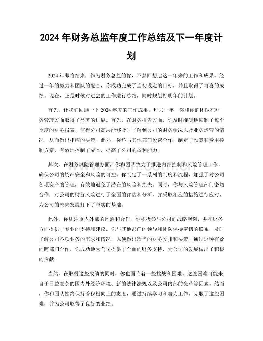 2024年财务总监年度工作总结及下一年度计划.docx_第1页