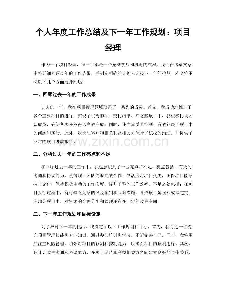 个人年度工作总结及下一年工作规划：项目经理.docx_第1页