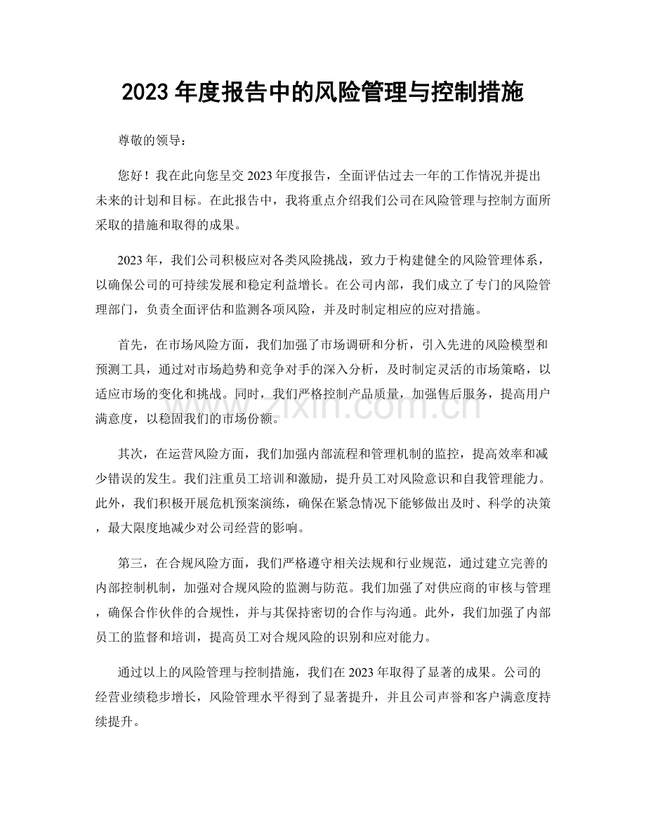 2023年度报告中的风险管理与控制措施.docx_第1页