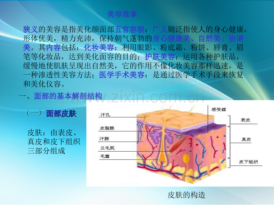 美容推拿、减肥推拿.ppt_第1页