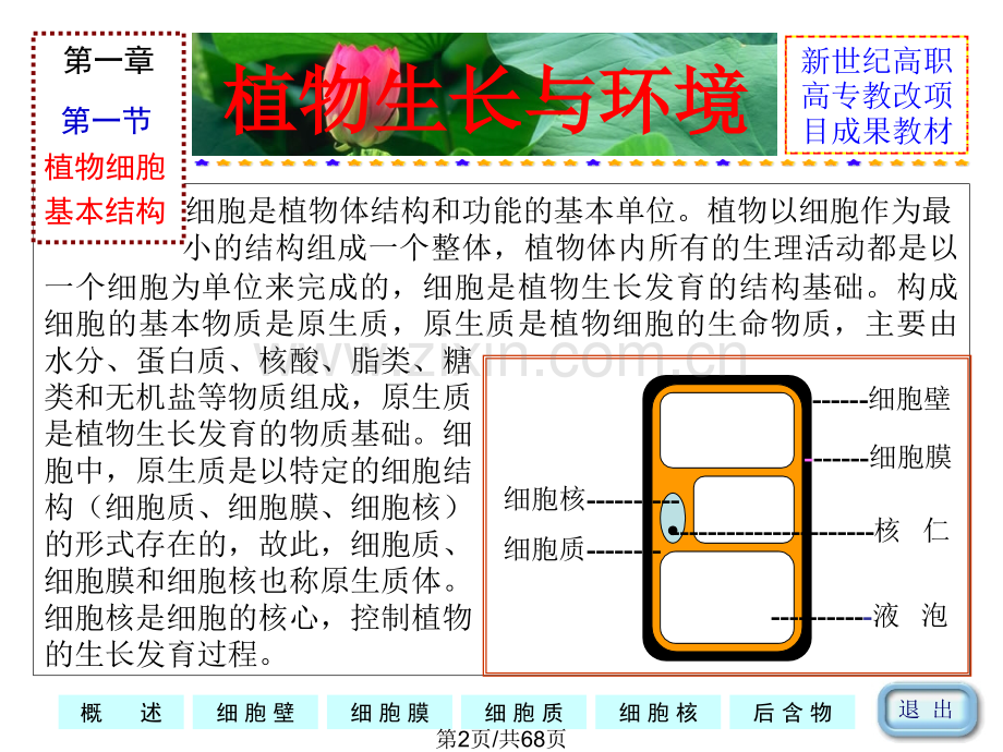 一植物细胞.pptx_第2页