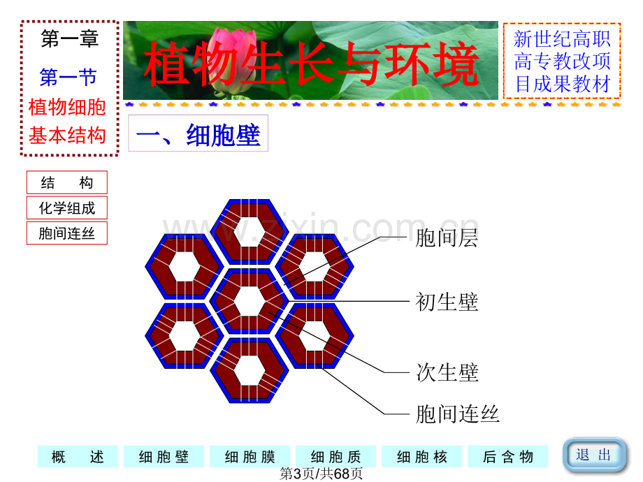 一植物细胞.pptx_第3页