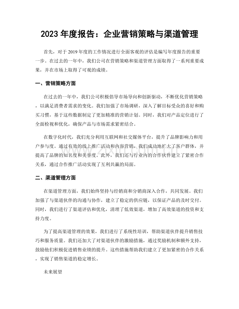 2023年度报告：企业营销策略与渠道管理.docx_第1页