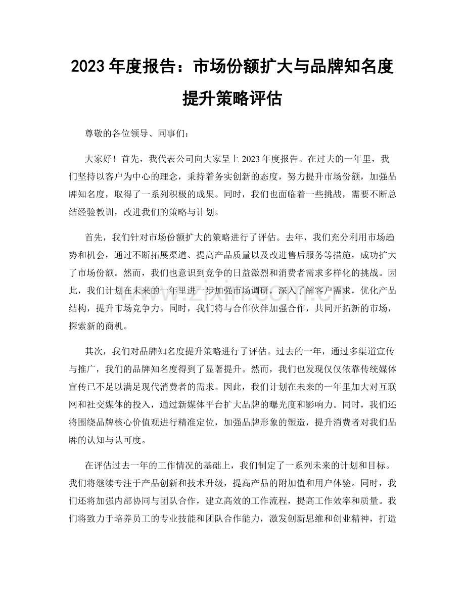 2023年度报告：市场份额扩大与品牌知名度提升策略评估.docx_第1页